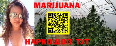 крисы Ирбит