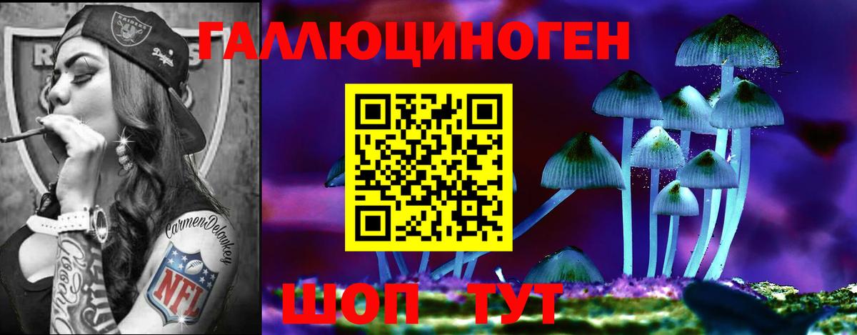 наркошоп  Вход с VPN  Лениногорск  Псилоцибиновые грибы GOLDEN TEACHER 